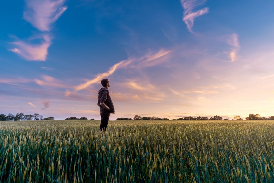 Man standing in the middle of a field staring at the sunset
