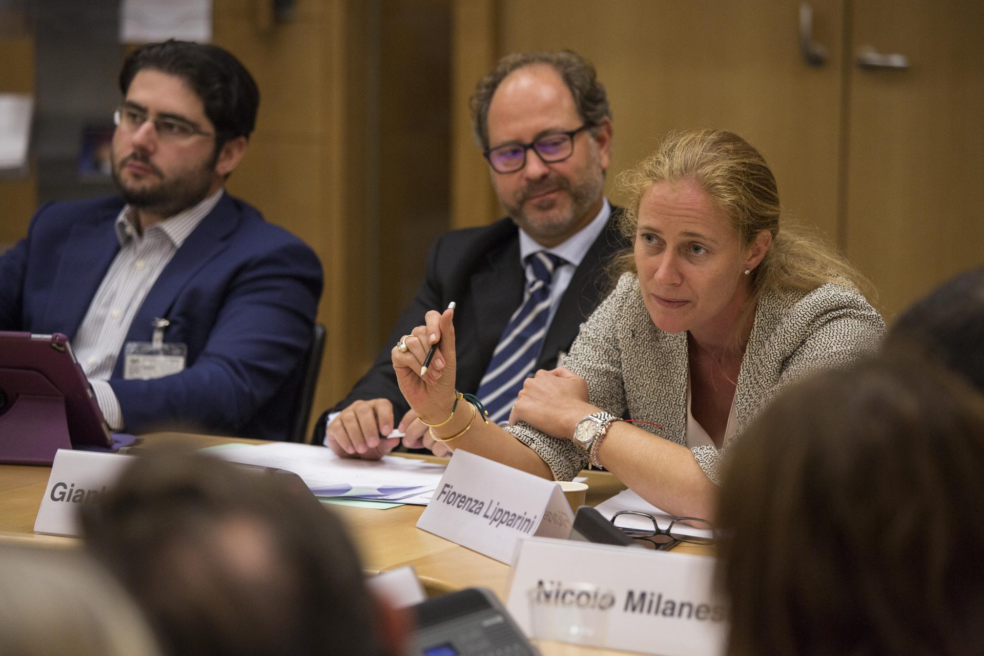 Fiorenza Lipparini in the First annual meeting of Re-Imagine Europa at the OECD in Paris
