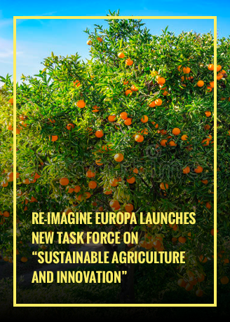 Orange tree with the title of the Task Force