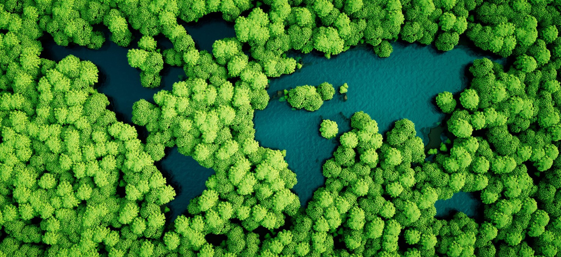 Rainforest Lakes in the Shape of World Continents