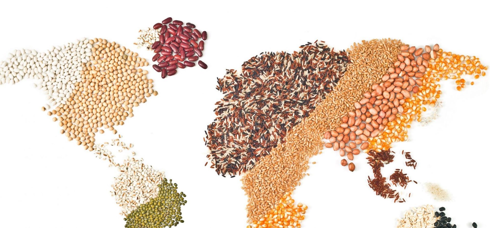 Foods seeds in shape of Earth continents on a white Background