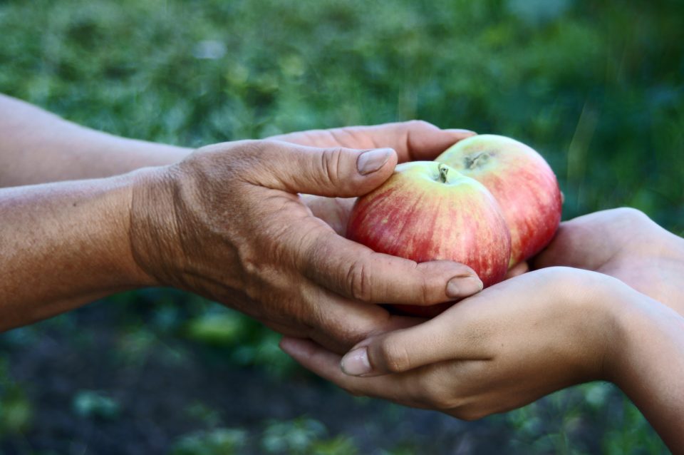 Woman giving Girl apples from hands to hands in Garden