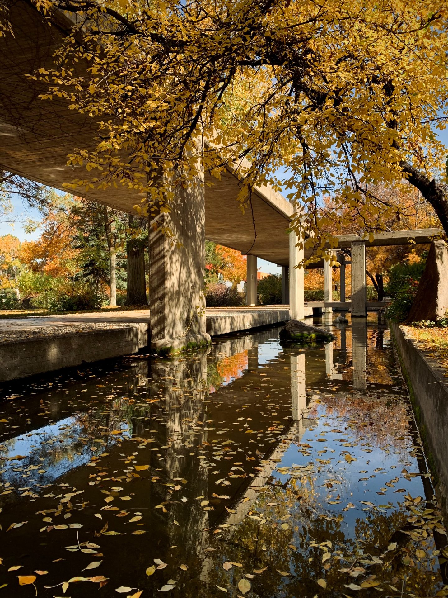 Autumn garden with an artificial urban lake