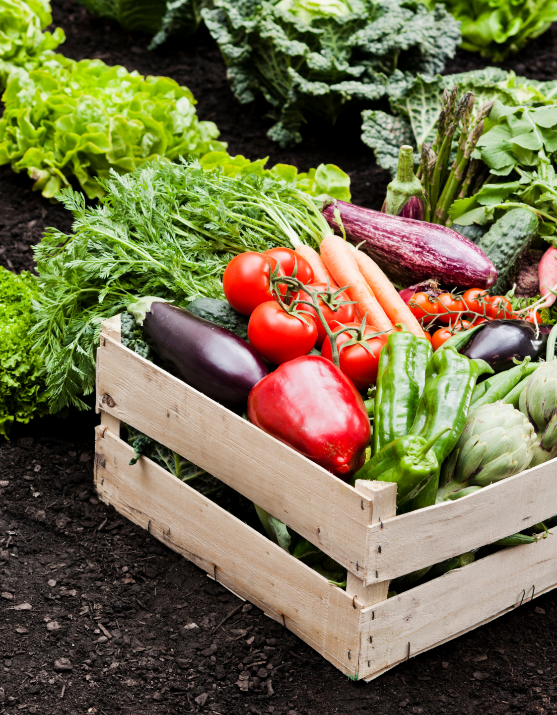 CAP 101: What Is It the Common Agricultural Policy and Why Should You Care?