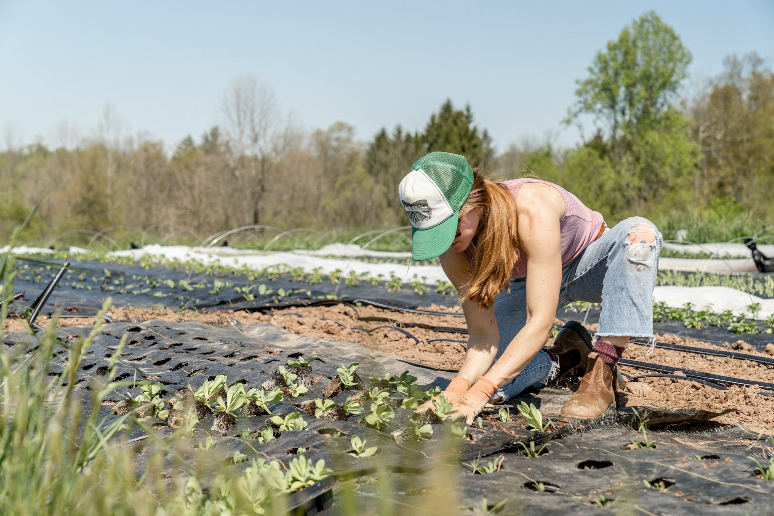 How the CAP Has Your Back: Support for Young Farmers in Belgium
