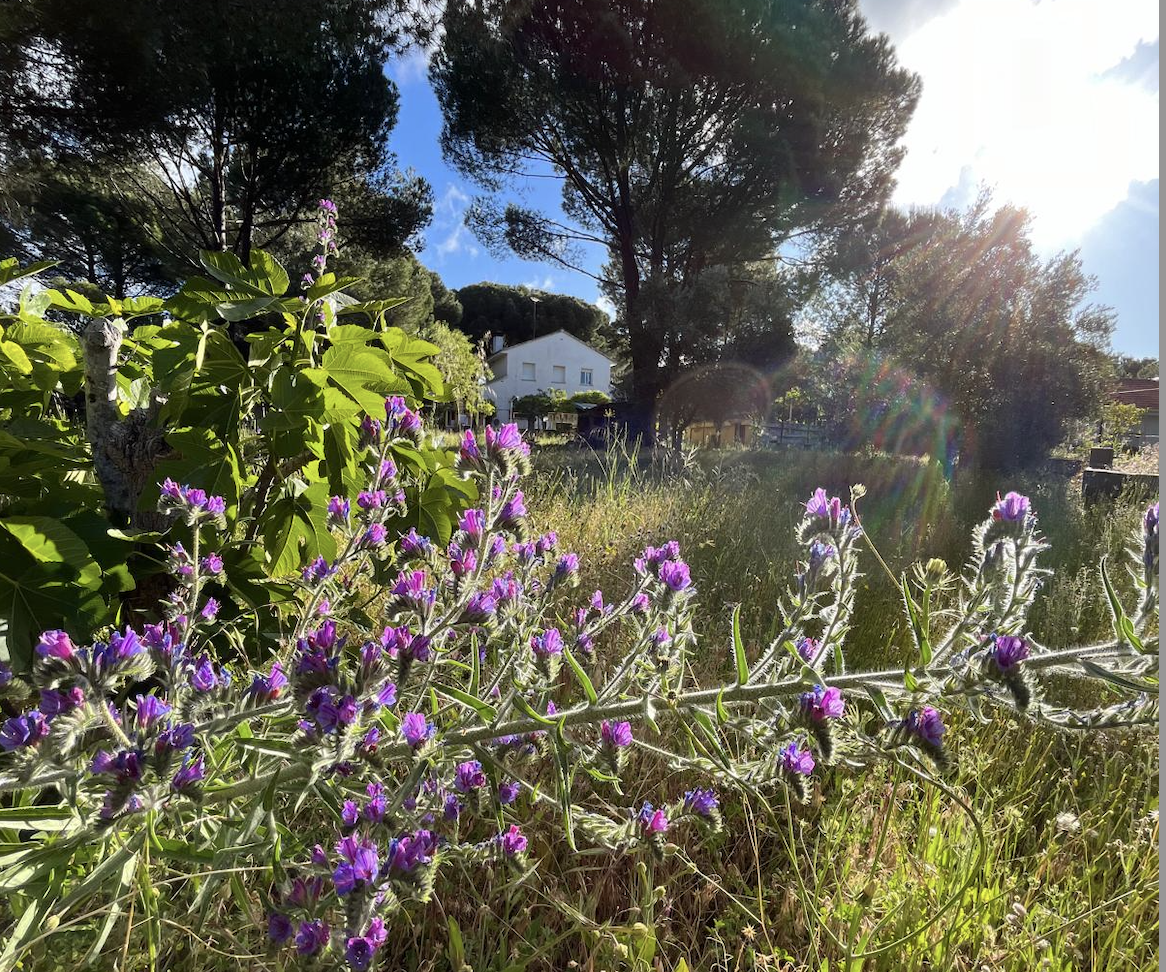 Rural Vitality and Biodiversity: How the CAP Helps People and Nature Thrive