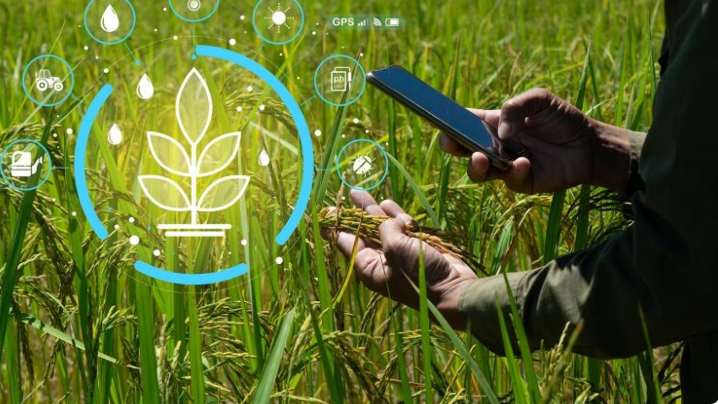 The CAP and the Digital Transformation of Agriculture